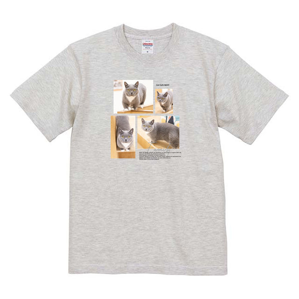 ティノ Album コットンTシャツ