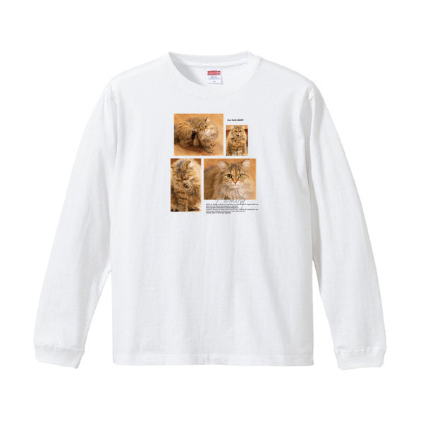 コゼット Album コットンロングTシャツ