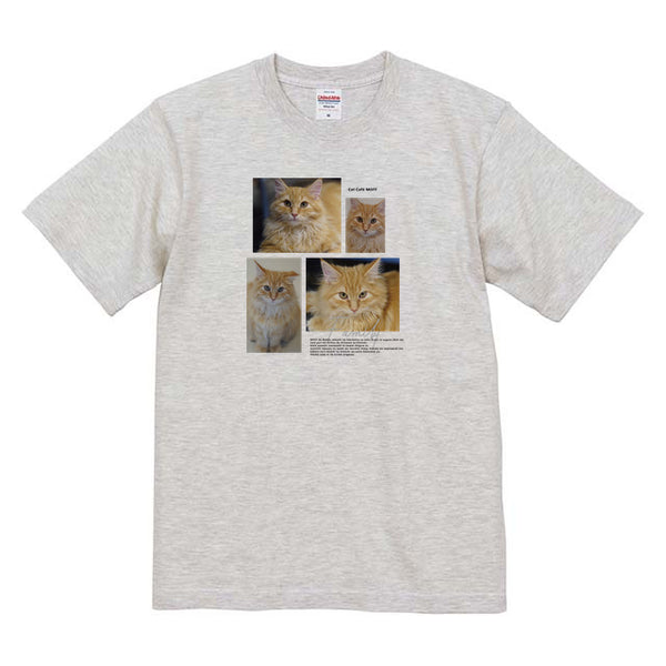 アメン Album コットンTシャツ