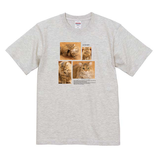 コゼット Album コットンTシャツ