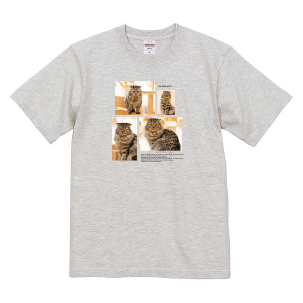 シェル Album コットンTシャツ