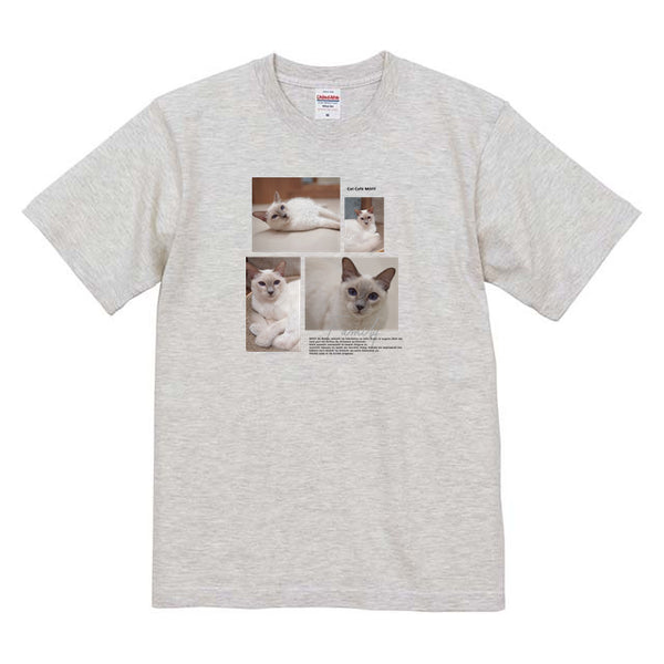 風 Album コットンTシャツ