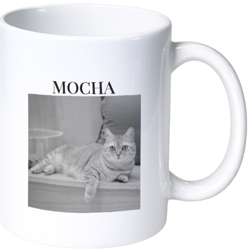 モカ マグカップ(陶磁器)