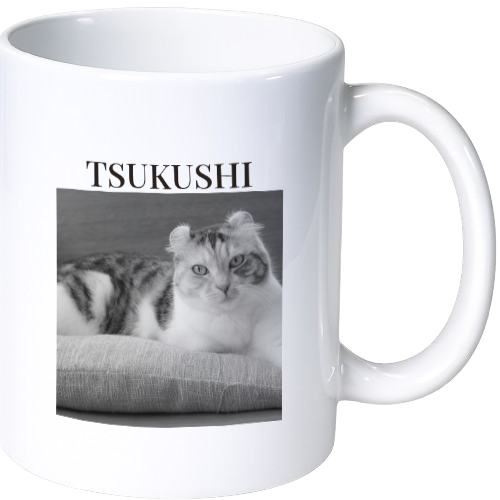 ツクシ マグカップ(陶磁器)