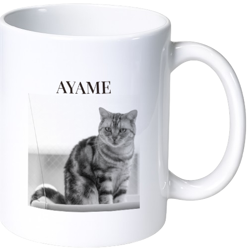 アヤメ マグカップ(陶磁器)