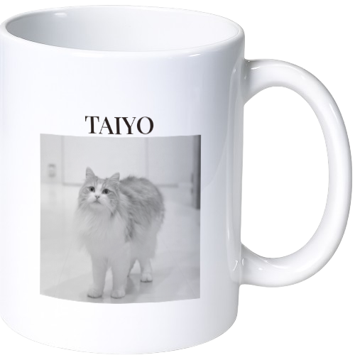 タイヨウ マグカップ(陶磁器)