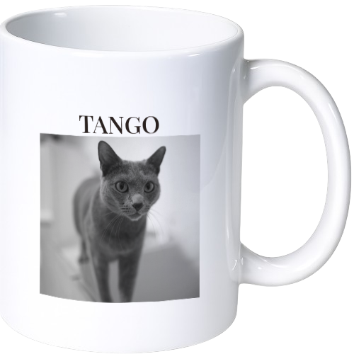 タンゴ マグカップ(陶磁器)