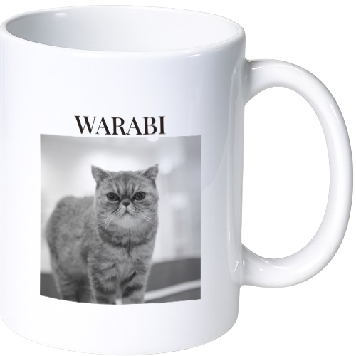ワラビ マグカップ(陶磁器)