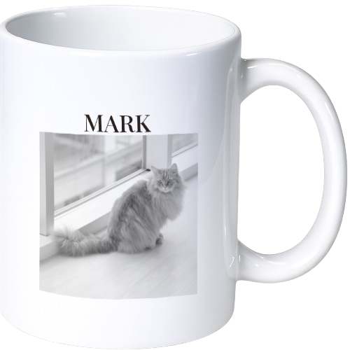 マーク マグカップ(陶磁器)
