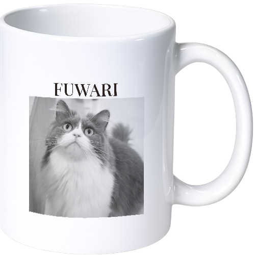 フワリ マグカップ(陶磁器)