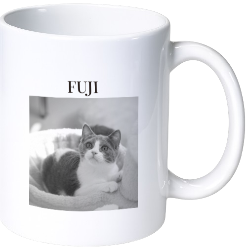フジ マグカップ(陶磁器)