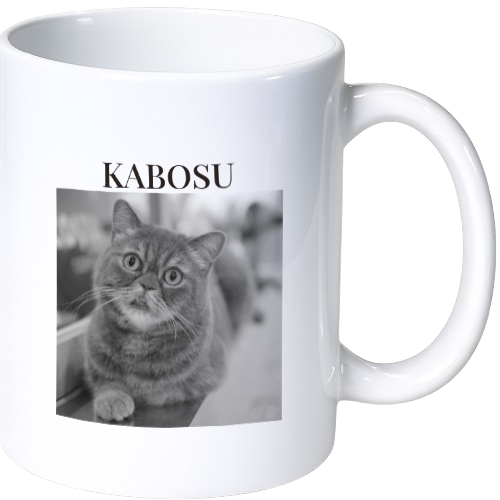 カボス マグカップ(陶磁器)
