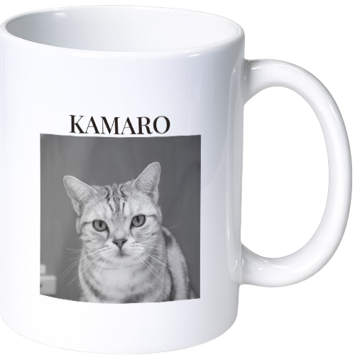 カマロ マグカップ(陶磁器)
