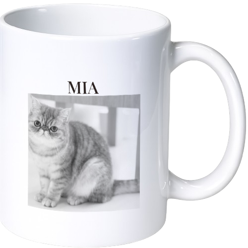 ミア マグカップ(陶磁器)