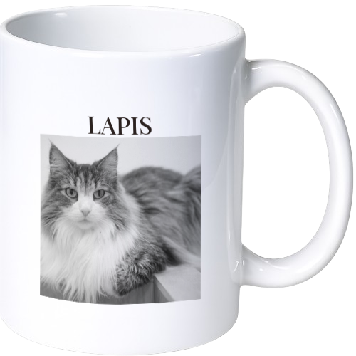 ラピス マグカップ(陶磁器)