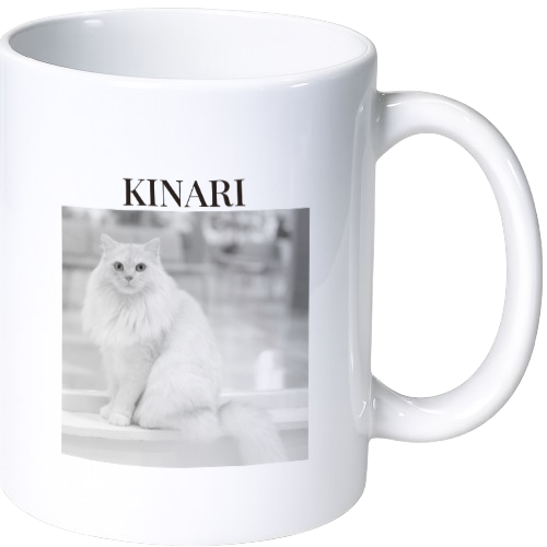 main