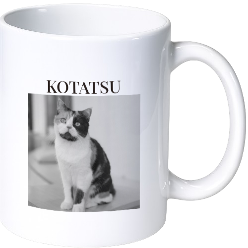 コタツ マグカップ(陶磁器)