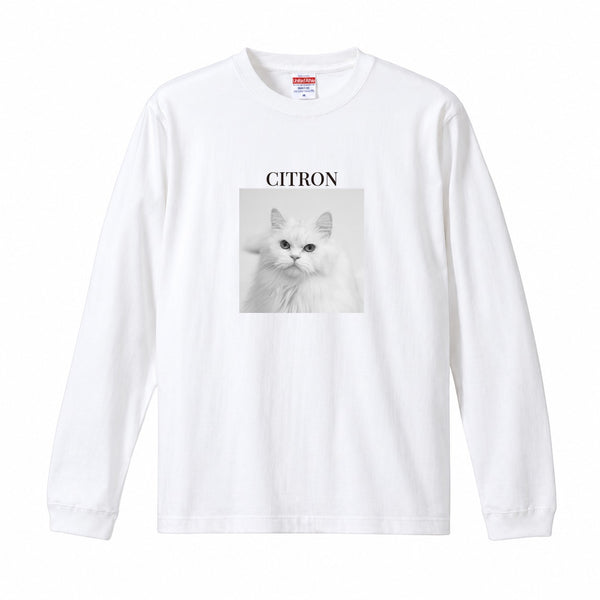 シトロン コットンロングTシャツ