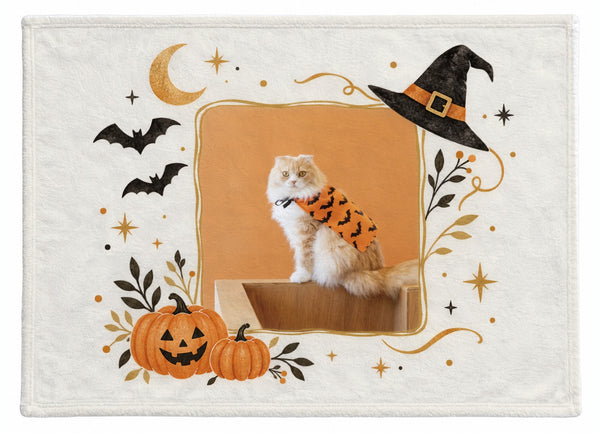 茶太郎 ハロウィン限定ふわふわブランケット(M)