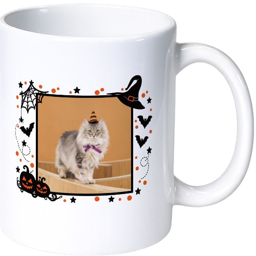 シナモン ホワイト