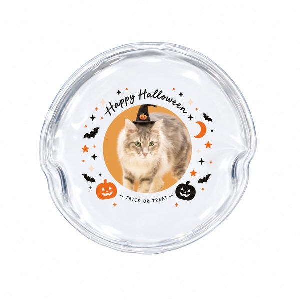 レイラ ハロウィン限定エコカイロ