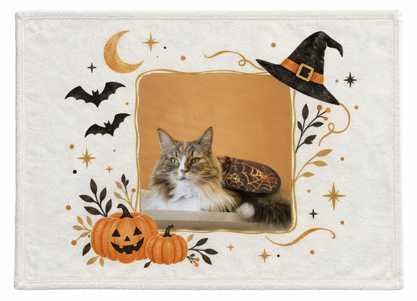 テト ハロウィン限定ふわふわブランケット(M)