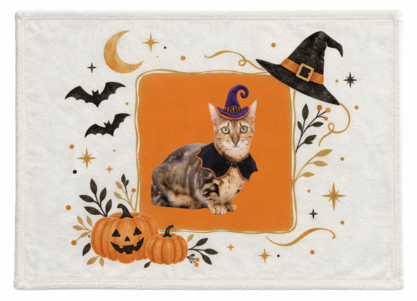 ティアナ ハロウィン限定ふわふわブランケット(M)