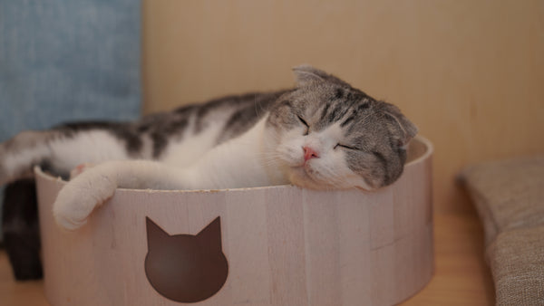マル の写真