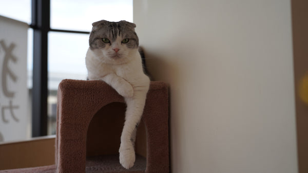 マル の写真