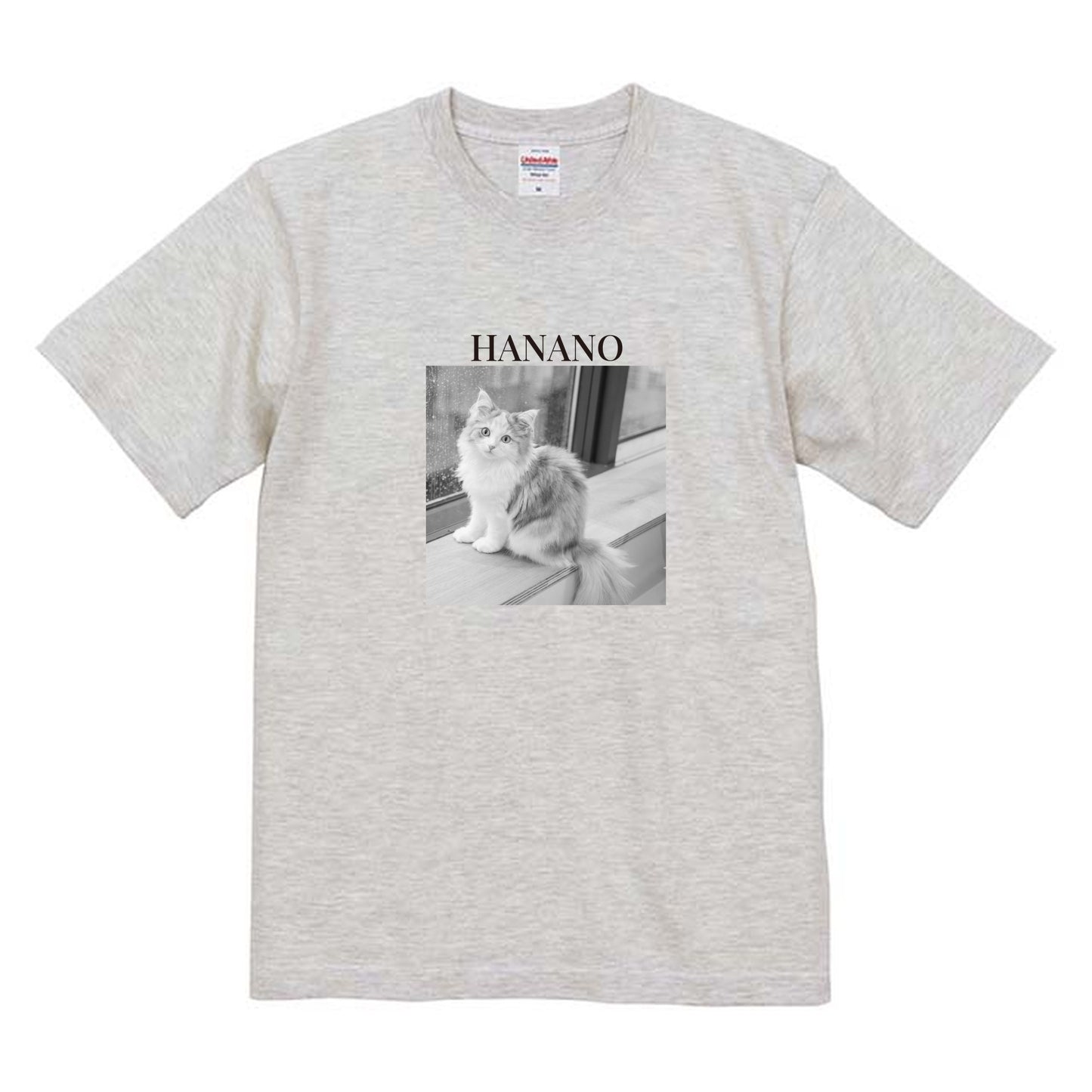 009