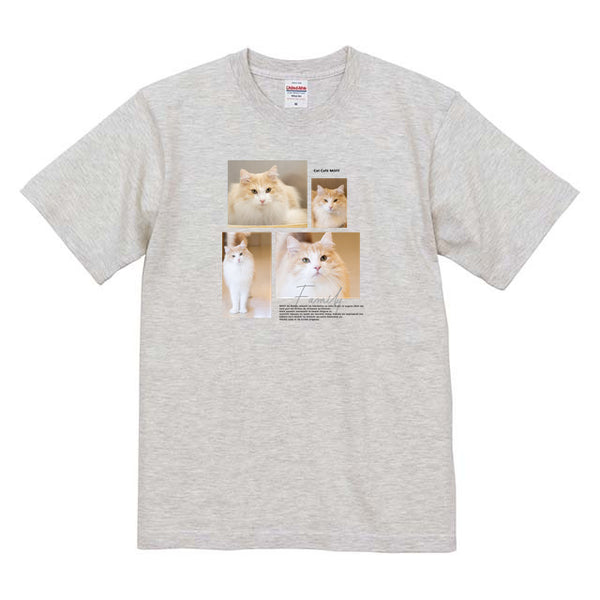 シフォン Album コットンTシャツ