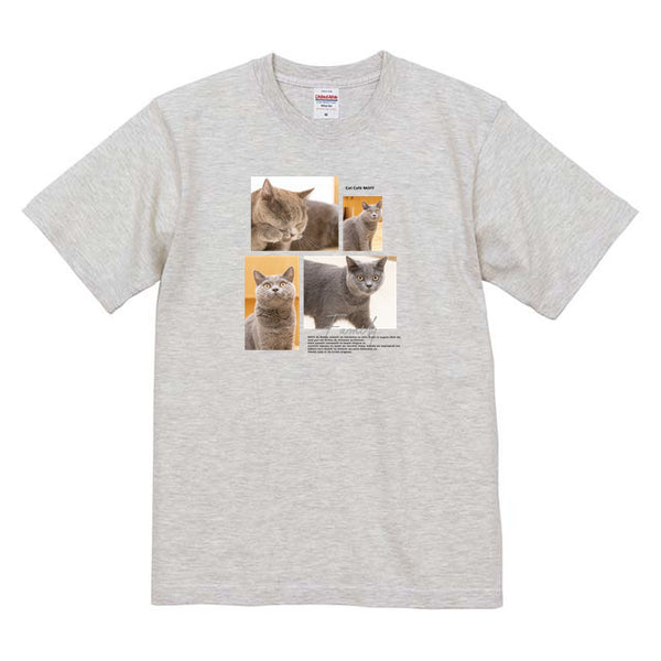 アッシュ Album コットンTシャツ