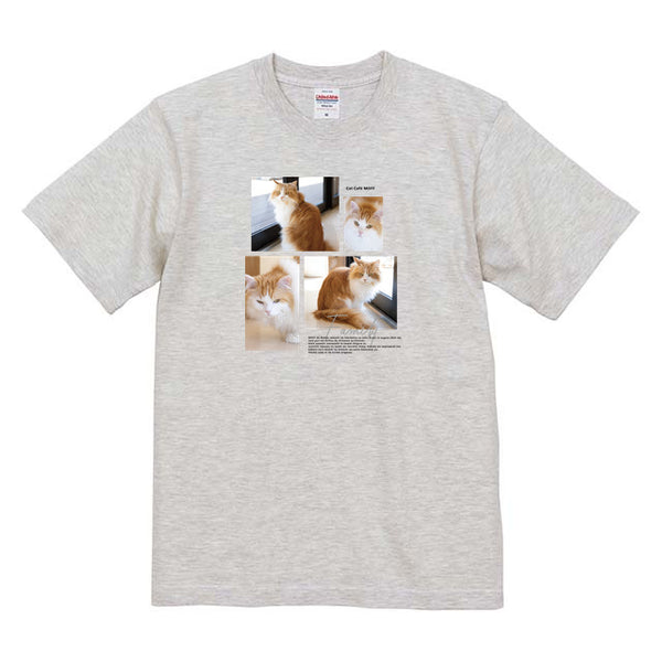 ひより Album コットンTシャツ