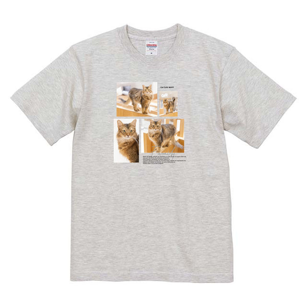 ダンデ Album コットンTシャツ