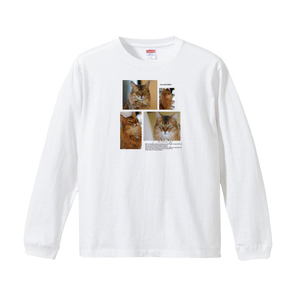 キャロット Album コットンロングTシャツ