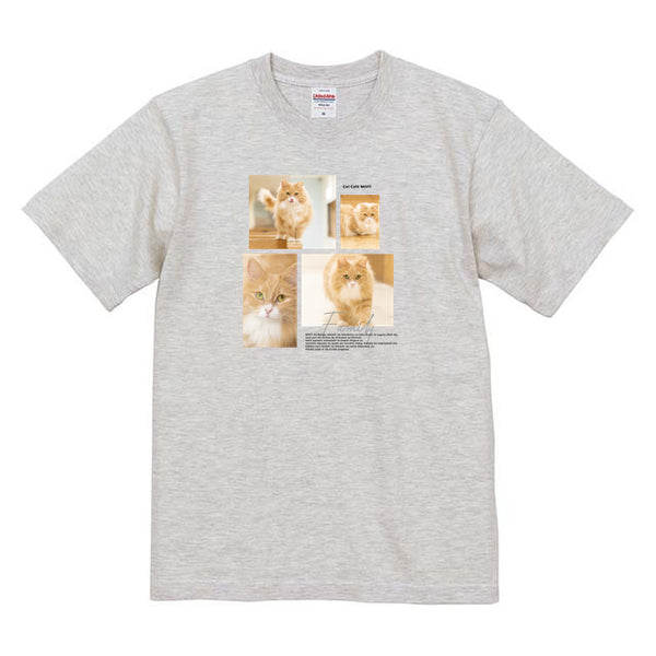 キャネル Album コットンTシャツ
