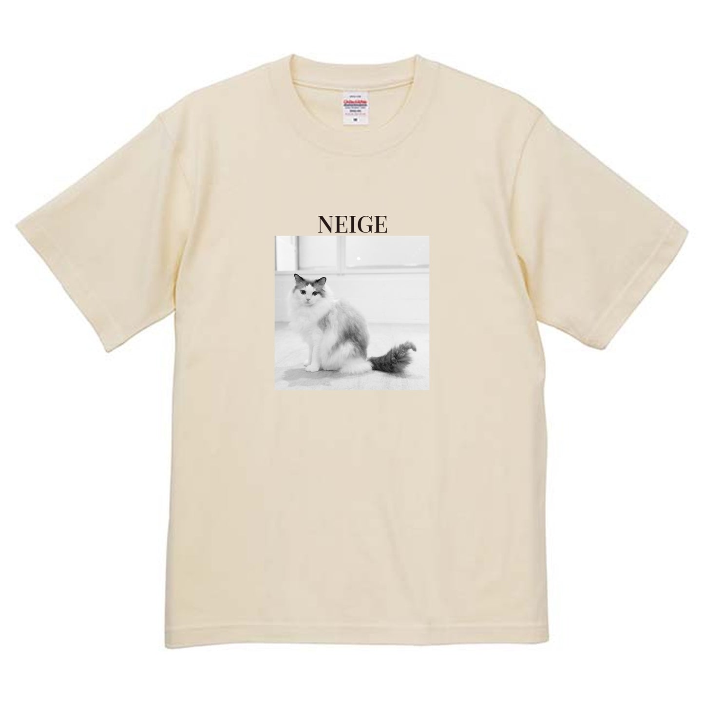 019