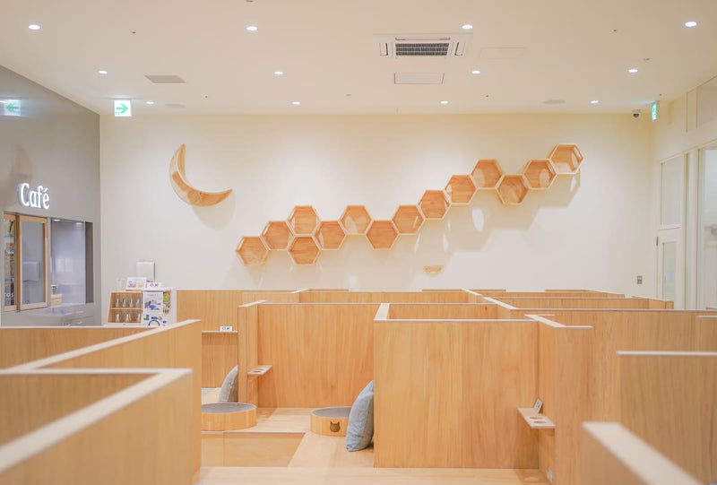 アリオ柏店