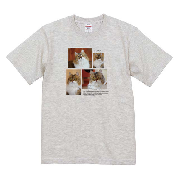 ピスコ Album コットンTシャツ