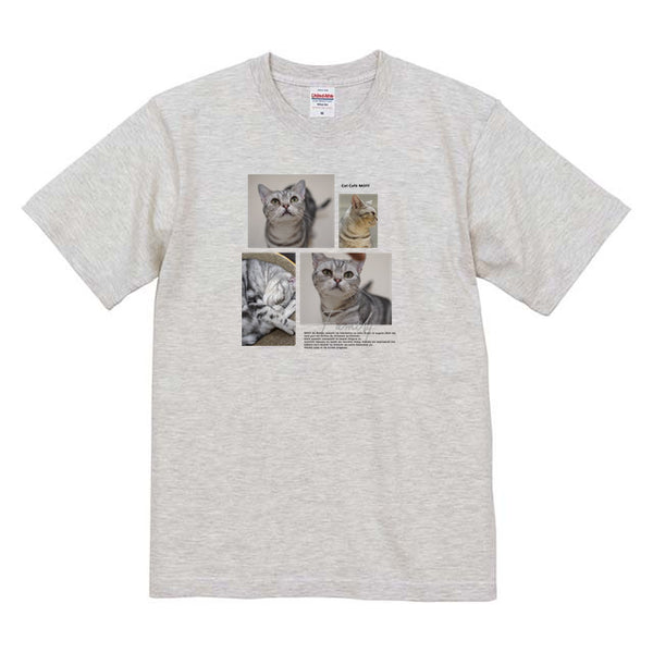 サナ Album コットンTシャツ