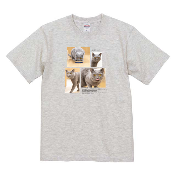 円 Album コットンTシャツ