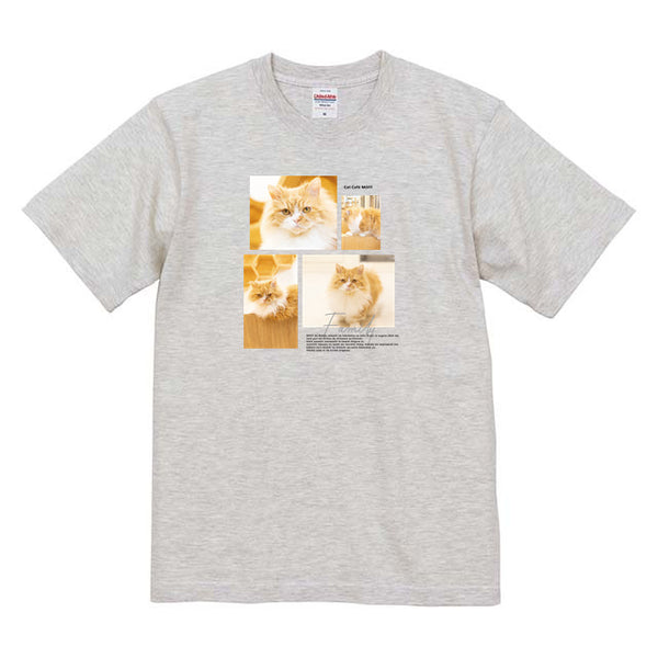 テディ Album コットンTシャツ