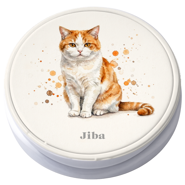 ジバ スマホソケット