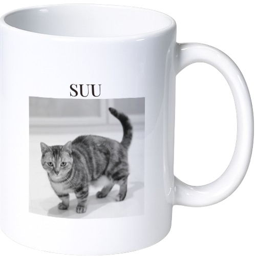 スゥ マグカップ（陶磁器）