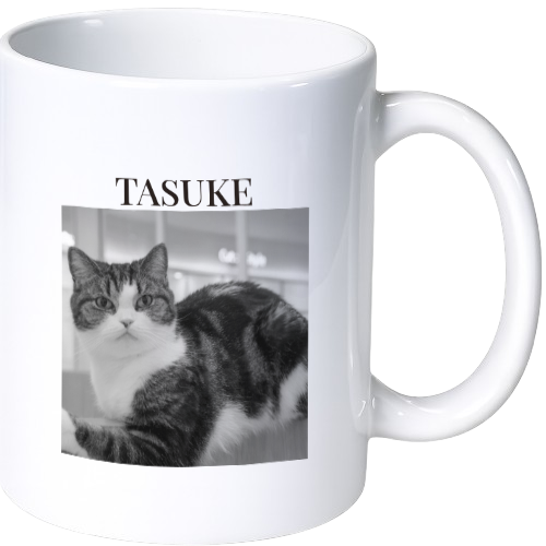 タスケ マグカップ（陶磁器）