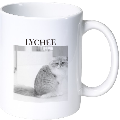ライチ マグカップ（陶磁器）