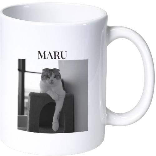 main