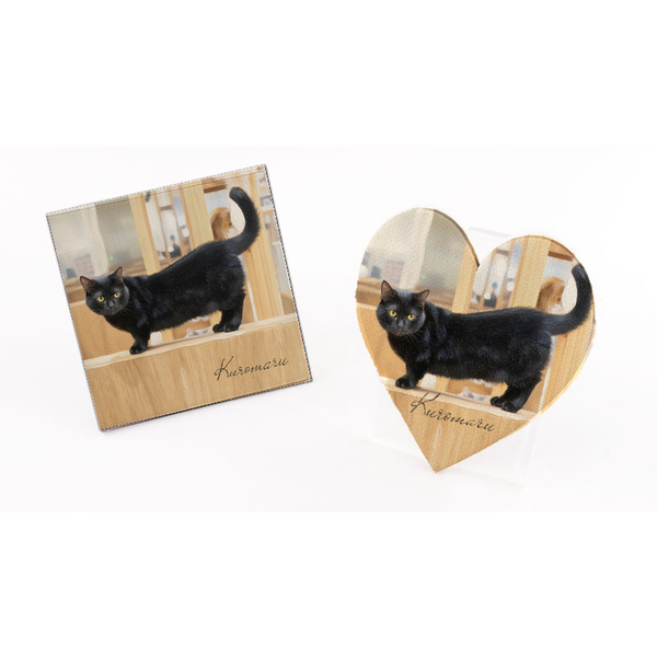 くろまる 絵画風マグネット