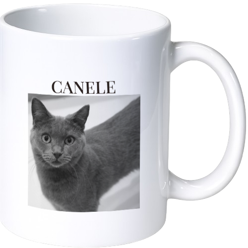 カヌレ マグカップ（陶磁器）