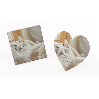 main